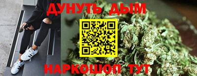 ALPHA PVP Пугачёв