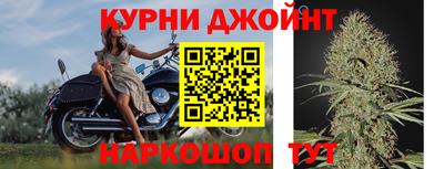 ALPHA PVP Пугачёв
