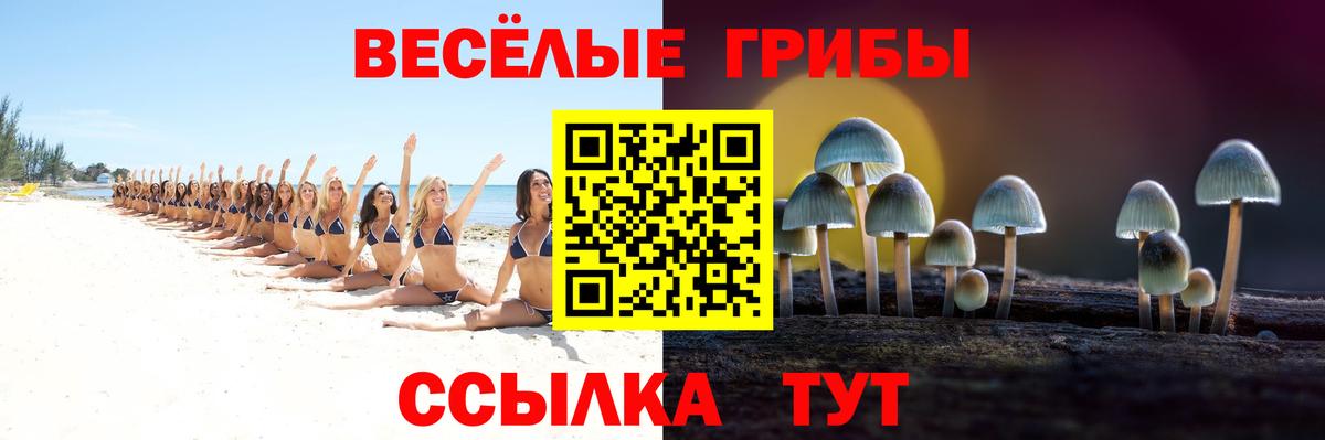Псилоцибиновые грибы мицелий  Вход с VPN  Семёнов 